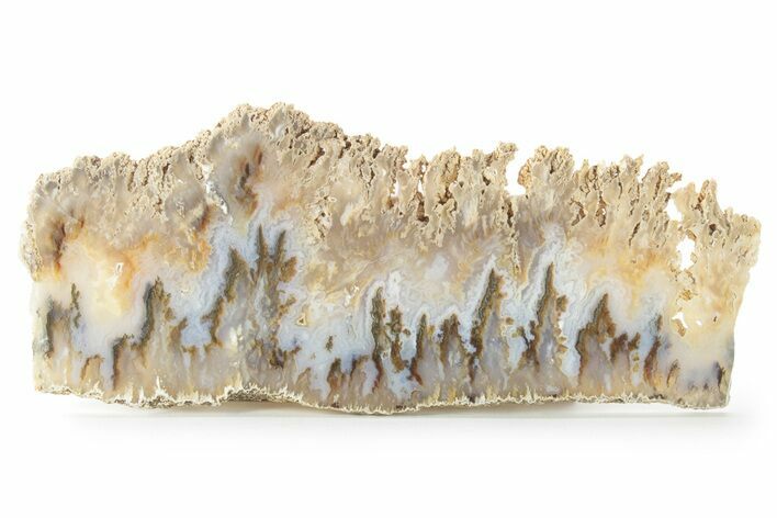 Graveyard Plume Agate Slab - Eastern Oregon #227988